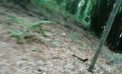 最新上市！【淫[ying]乱人妻】淫妻最新上市！【成都夫人】多名单男群P淫妻前后夹鸡(7)