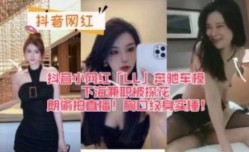 抖音小网红奔驰车模下海兼职被探花郎偷拍直播！胸口纹身实锤