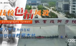 技校色se情风波