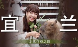 吴梦梦 宜兰之水豚疗愈之旅