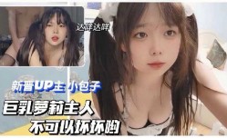 巨乳美女，主人不可以坏坏哟