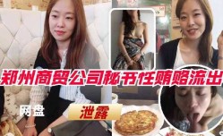 郑州商贸公司秘书性贿赂视频流出