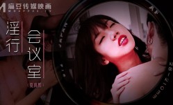 淫行会议室  下班后的搔痒难耐