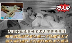 大舅子住在弟妹mei家里上演高端偷情，睡着的是正牌老公第官网二个就是老王了，最牛逼的是晚上没忍住偷偷上去摸逼