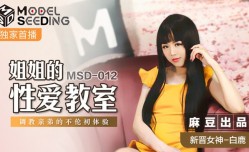 姐姐的性xing愛教室  调教亲弟的不伦初体验