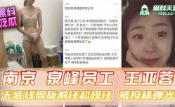 南京泉峰员工王亚蓉无底线周旋前任和现任被投稿曝光