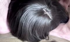 贵圈万人追踪OnlyFans网红CDT闺蜜Ljy解锁私拍3P4P各种淫[ying]乱场面令人乍舌第官网三弹(10)
