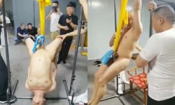 看看大师的吊阳神功你想跟他学吗qph