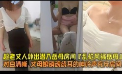 家庭乱luan伦-趁老丈人外出潜入岳母房间