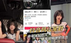 抖音网红星野被中年大叔后入爆bao操视频泄密流出