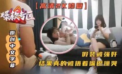 精选探花-假装被强奸 结果真的被捂着嘴巴操哭