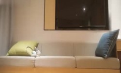 午夜寻花第官网二场高gao颜值白衣妹mei子，脱光光坐在身上摸奶扣逼调情侧入猛操 - soav