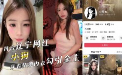 抖音辽宁网红反差婊『小狗』主动开房，穿着情趣内衣勾引金主，被中出内射！