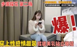 探花精选-穿上性感情趣装 搓揉美乳站立爆插