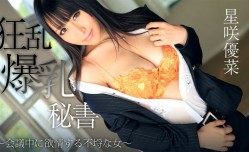 Heyzo-0746  狂乱爆乳秘書～会議中に欲情する不埒な女～