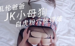 家庭乱luan伦-JK小母狗白虎粉[fen]穴被撑破