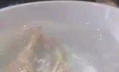 奶牛浓浓2-25