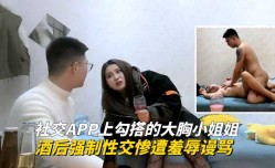 1社交APP上勾搭的大胸小姐姐，酒后强制性[xing]交惨遭羞辱谩骂