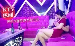 KTV包厢偷拍包厢陪酒无套中出