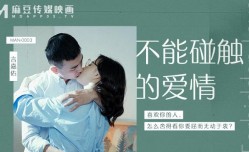 不能触碰的爱情