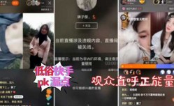 快手牛马主播，直播扣B摸奶，评论区都是正能量