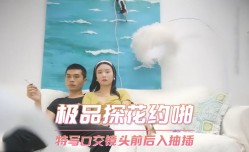 极品探花约啪-特写口交镜头前后入抽[chou]插