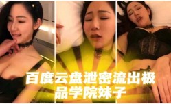 百度云盘泄密流出极品妹mei子