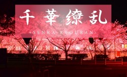 FC2-PPV-3181466 最新上市！【真冬の向日葵】まだ何にも知らない。