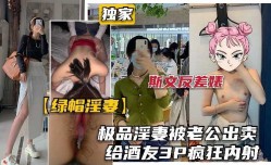 极品淫妻被老公出卖给酒友3p疯狂内射2
