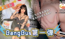 DX004 大象号第官网一弹