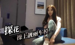 探花操上靓丽车模