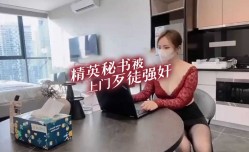 精英秘书被上门歹徒强奸