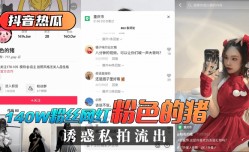 最新上市！【抖音热瓜】140W粉丝网红“粉色的猪”诱惑私拍流出！