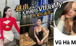 越南大奶模特#VtHaMy，性xing愛片流出，流出后迅速删去