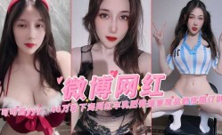 微博网红可可西46玩粉下海网红丰乳肥臀撸管精品微密圈订制