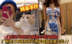 广州圣光医药女MissAV免費高清AV在線看-销售小语性贿赂广州某三甲医院院长性xing愛自拍视频流出