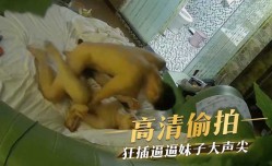 高清偷拍，狂插逼逼妹mei子大声尖叫