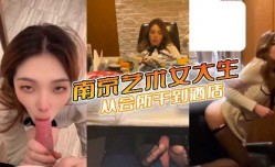 南京艺术大学极品女大学生从会所干到酒jiu店