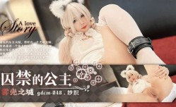 囚禁的公主 雾光之城 纱织
