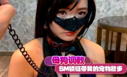 母狗调教 SM锁链带我的宠物散步